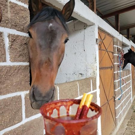 Vive En Un Rancho Ξενοδοχείο Πουέμπλα Εξωτερικό φωτογραφία