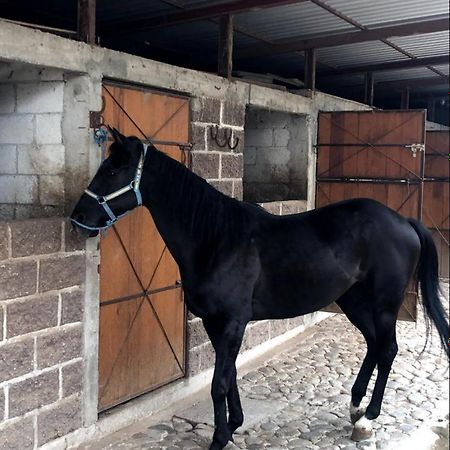 Vive En Un Rancho Ξενοδοχείο Πουέμπλα Εξωτερικό φωτογραφία