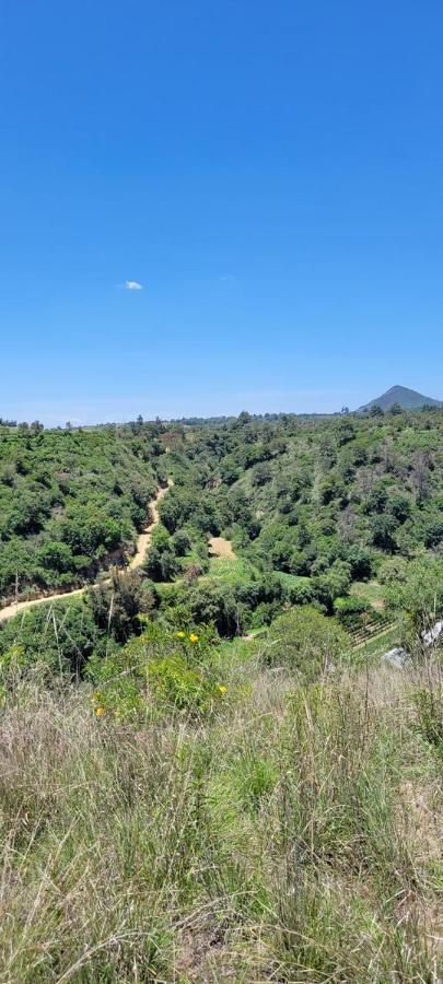 Vive En Un Rancho Ξενοδοχείο Πουέμπλα Εξωτερικό φωτογραφία