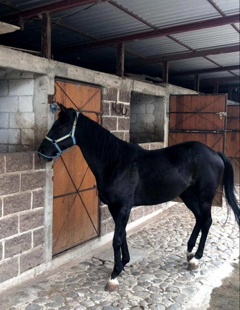 Vive En Un Rancho Ξενοδοχείο Πουέμπλα Εξωτερικό φωτογραφία